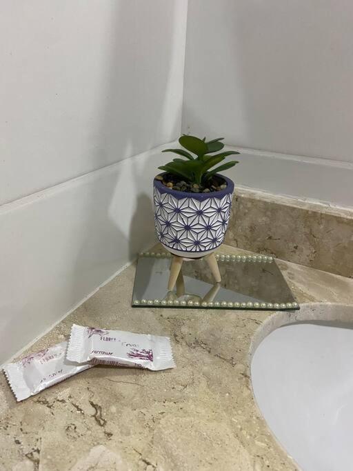 Flat Elegante E Bem Localizado Apartment Feira de Santana Luaran gambar